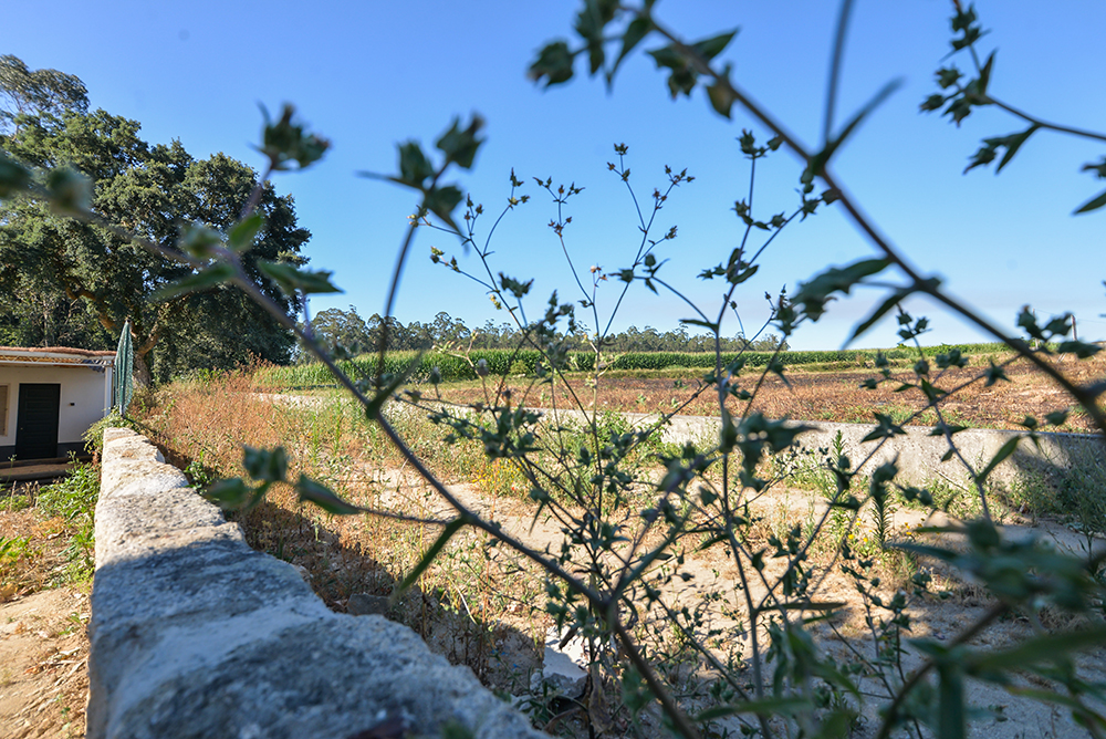 NatachaGuevara-29-2M